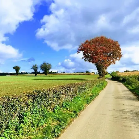 Petite Maison A Oneux Village * Theux